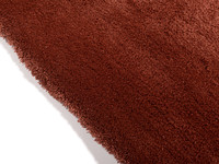 Sandro 63  - Modern hoogpolig vloerkleed in Barn Red