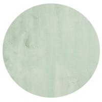 Fred van Leer Fay Soft Mintgroen - Rond vloerkleed zacht