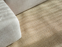 Luisa 13  - Uniek Sisal vloerkleed in Beige met crèmekleurige band