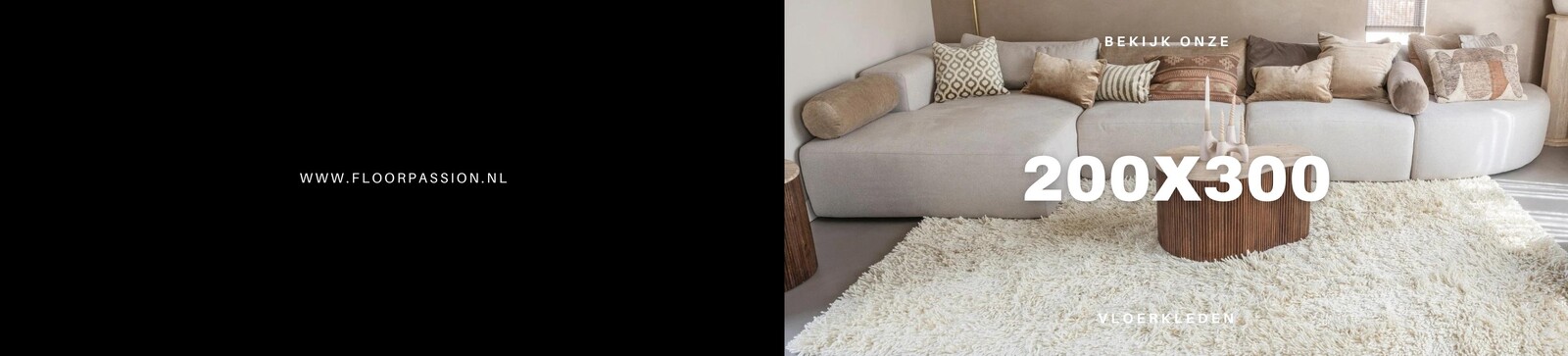 200x300 vloerkleed