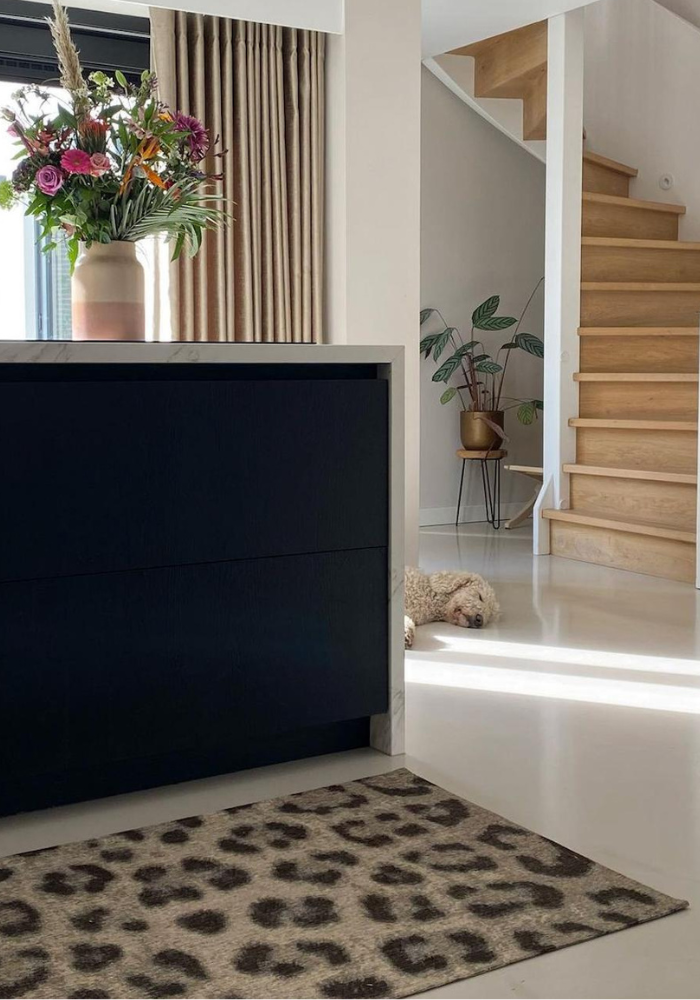 blog vloerkleed geschikt met hond