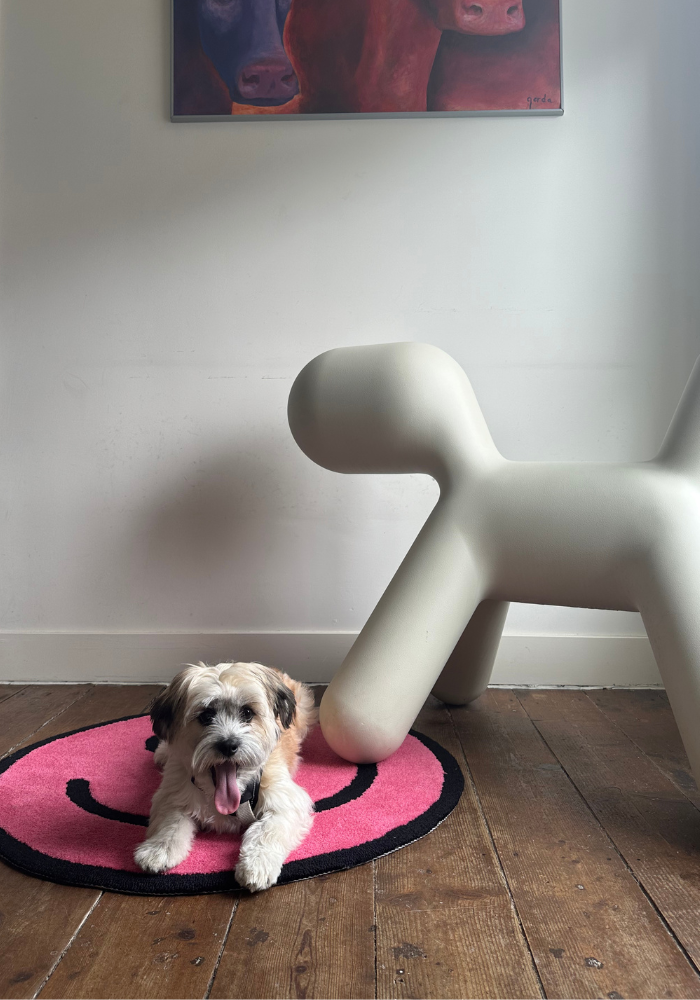 blog vloerkleed geschikt met hond