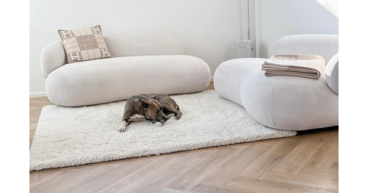 Vloerkleden geschikt voor honden