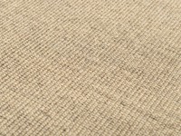 Premium 13 - Prachtig sisal vloerkleed in Beige met Taupe band