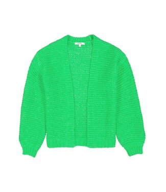 Garcia Garcia cardigan I30056 bright green