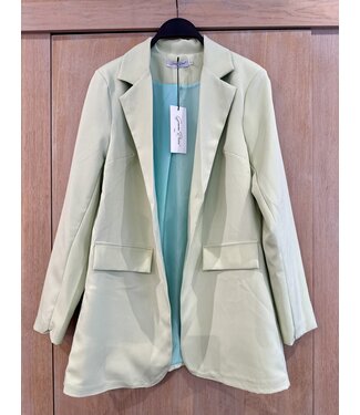 Musthave blazer Lobby pistache green