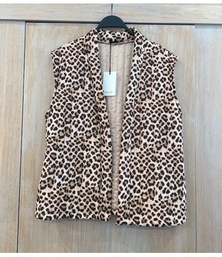 Musthave Gilet Jae panther