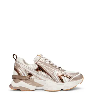 Steve Madden Sneaker Speedster-E silver/gold cream