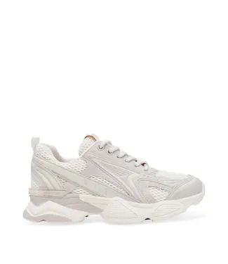 Steve Madden Sneaker Speedster-E silver coin