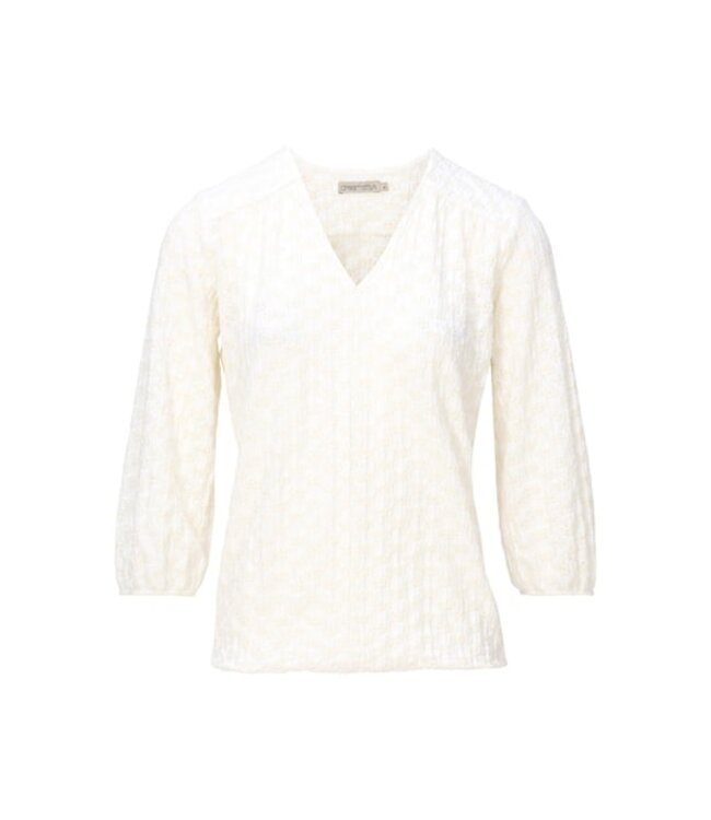 Dreamstar Top Kane W25 105 (2 kl.)