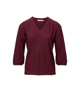 Dreamstar Top Kane W25 105 (2 kl.)
