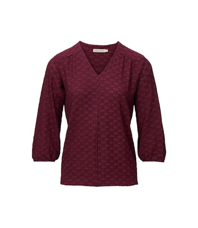 Dreamstar Top Kane W25 105 (2 kl.)