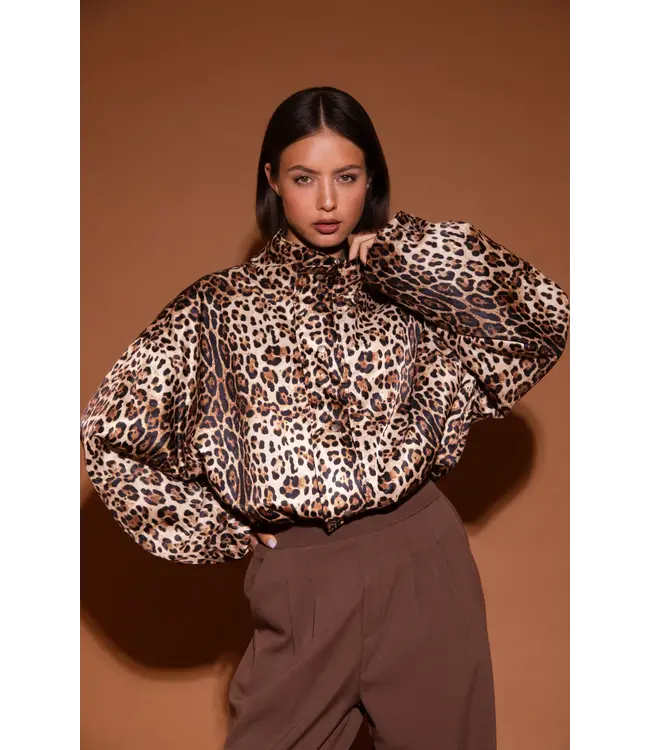 Studio Amaya Jacket Feline multi print