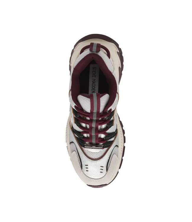 Steve Madden sneaker Animates-E wine/gry