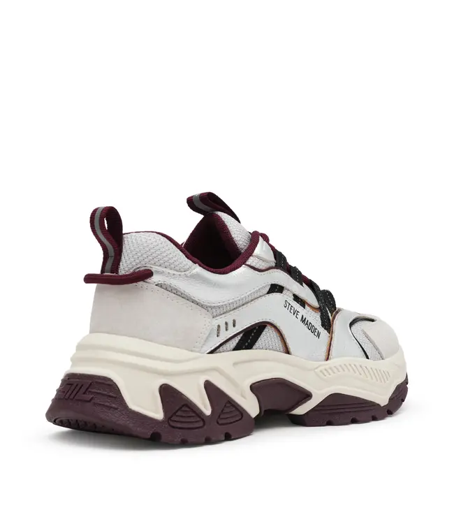 Steve Madden sneaker Animates-E wine/gry