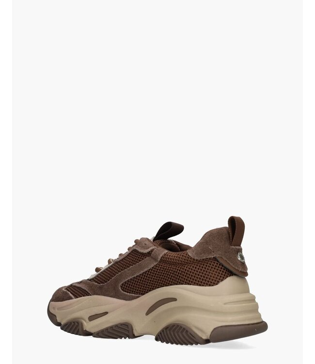 Steve Madden sneaker Possession-E gnd coffe sue