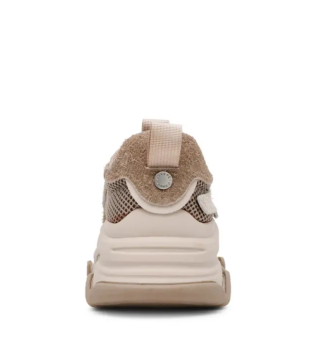 Steve Madden sneaker Possession-E taupe/gry su