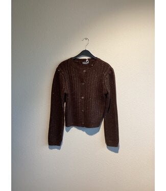 Geisha Cardigan lurex & sequinces brown/copper