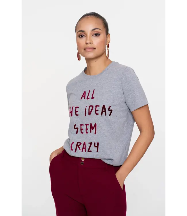 Geisha T-shirt flock 52515-70