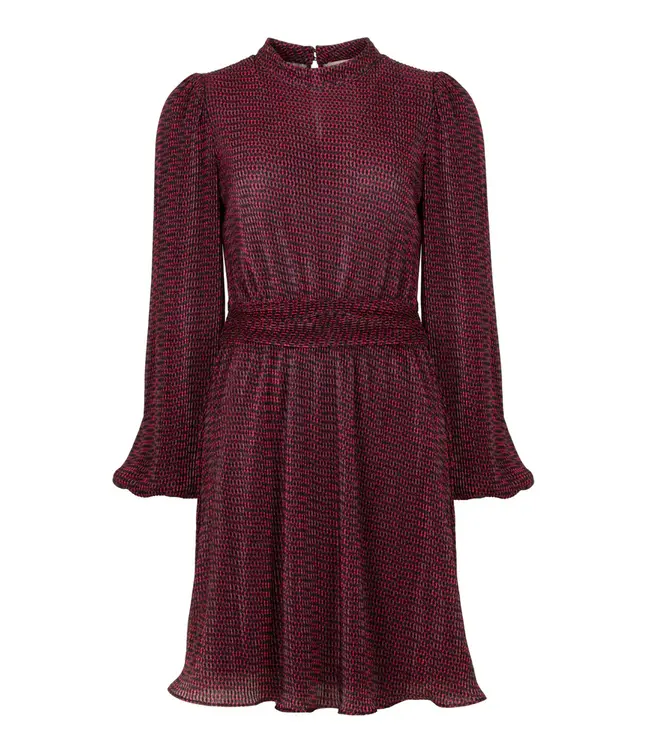 Freebird Dress Dalea plisse multi red