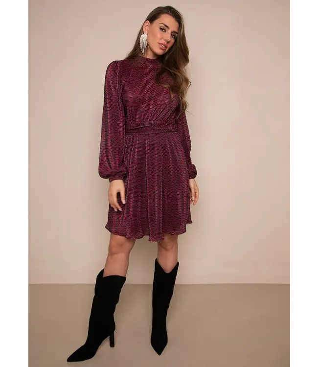 Freebird Dress Dalea plisse multi red