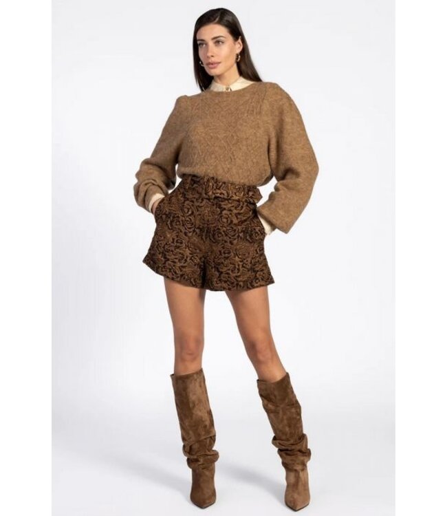 Aaiko Short Lano jacquard pes 547 gold