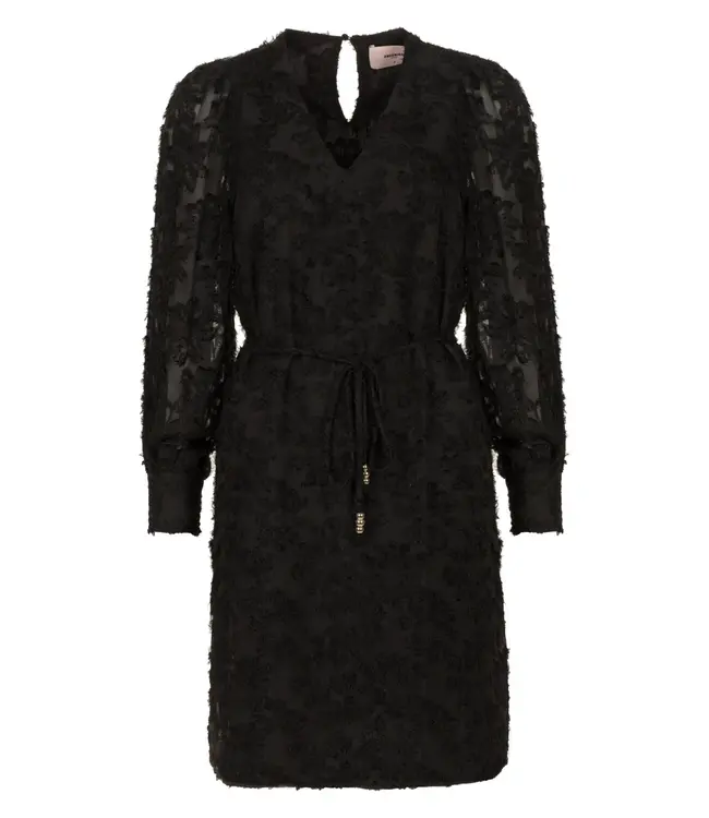 Freebird Dress Dion hairy black