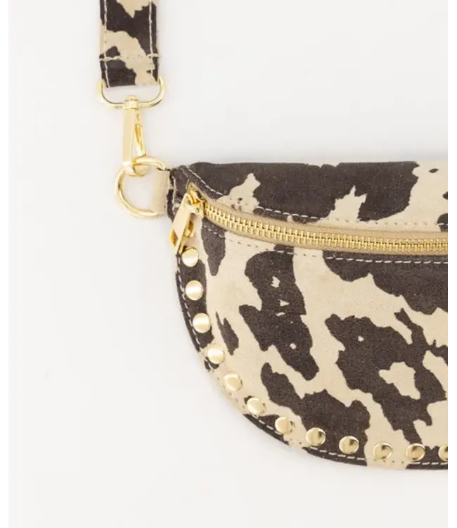 tas Debby cow