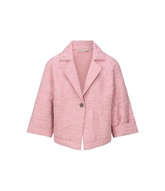 Dreamstar Jasje Fleder Z26107 pink