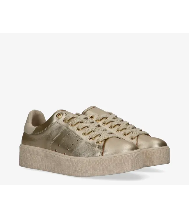 Tango Sneaker Chantal 12-cb platino gold leather