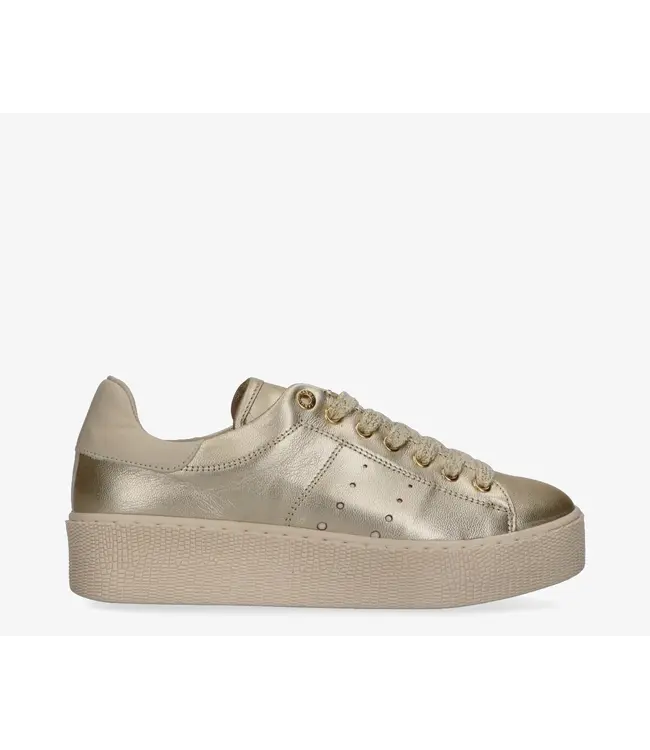 Tango Sneaker Chantal 12-cb platino gold leather