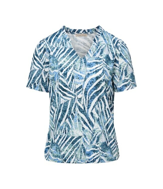 Dreamstar Top Parish Z26 234 (2kl.)