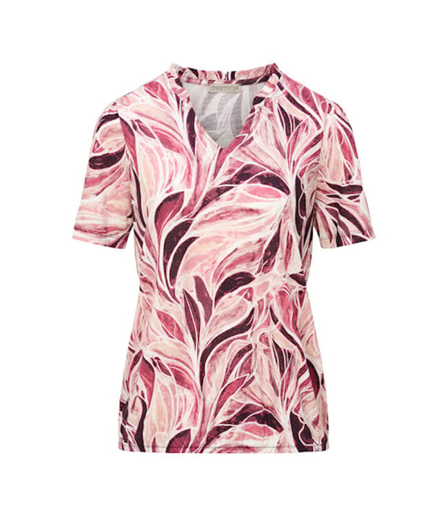 Dreamstar Top Parish Z26 234 (2kl.)