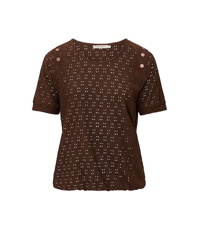 Dreamstar Top Cassidy Z26 210 Bruin