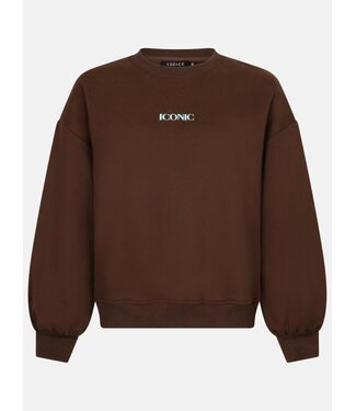 Ydence Sweater Iconic FS2657 brown