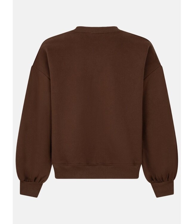 Ydence Sweater Iconic FS2657 brown
