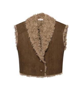 Aaiko Gilet Avrelle pes 556 teak green