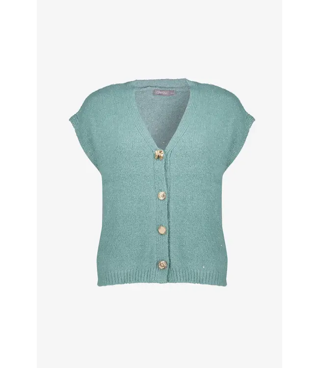 Geisha Knitted gilet with buttons 64584-14 aqua
