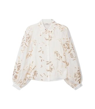 Aaiko Blouse Rose sequince ten 536 cream