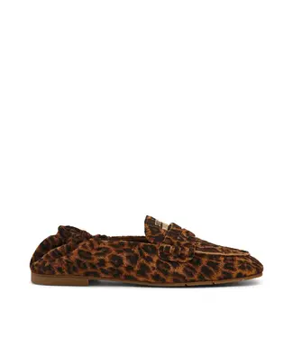 Steve Madden Flat shoe Newbury-A leopard suede
