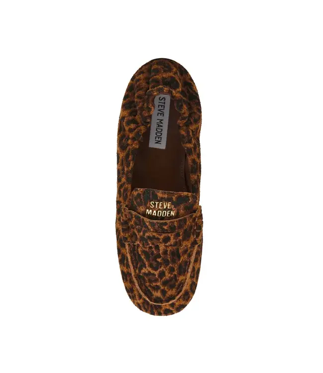 Steve Madden Flat shoe Newbury-A leopard suede