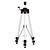 ADA  Elevation 16B compact tripod maximum height 153 cm