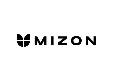 Mizon
