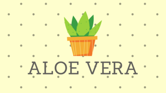Waar is Aloë Vera goed voor?