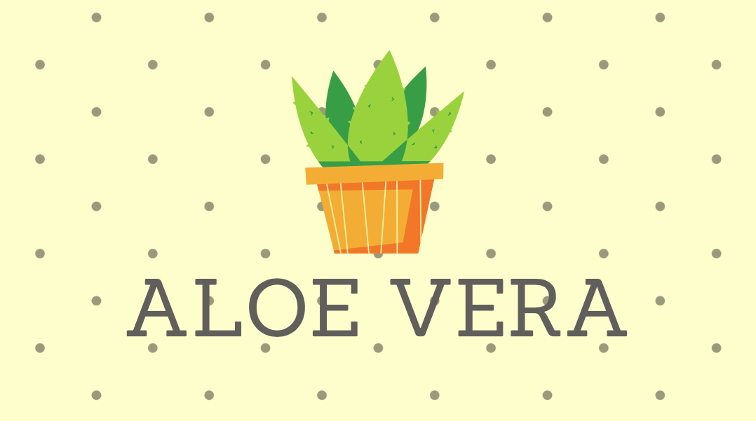 Waar is Aloë Vera goed voor?
