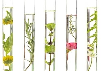 Natuurlijke vs. synthetische cosmetica