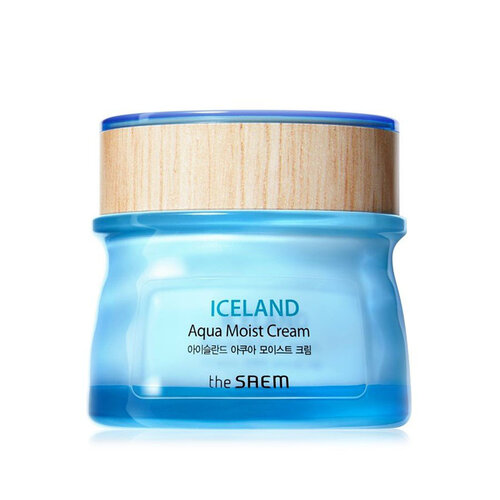 Iceland Aqua Moist Cream The Saem Iceland Aqua Moist Cream