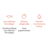 BB Lab The Collagen Up Jelly 20g*14ea