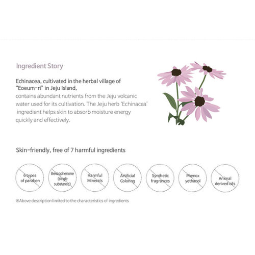 Vital in Jeju Essence in Toner Accoje Vital in Jeju Essence in Toner