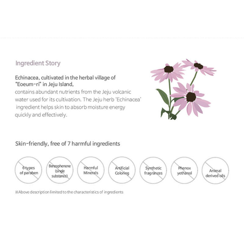 Vital in Jeju Essence in Toner